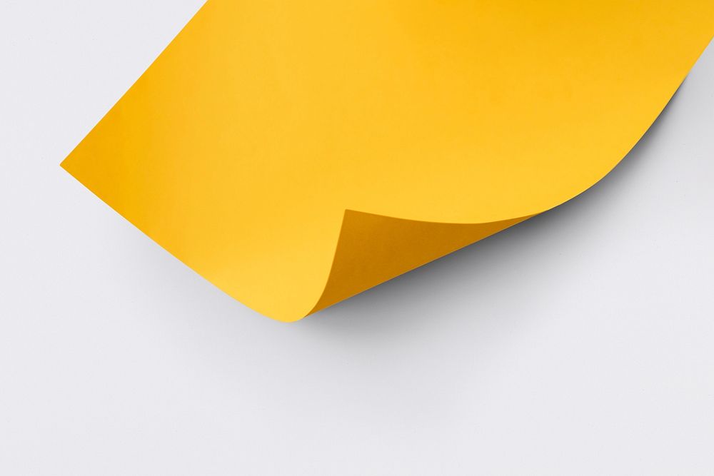 Blank yellow curled paper mockup on a graybackground