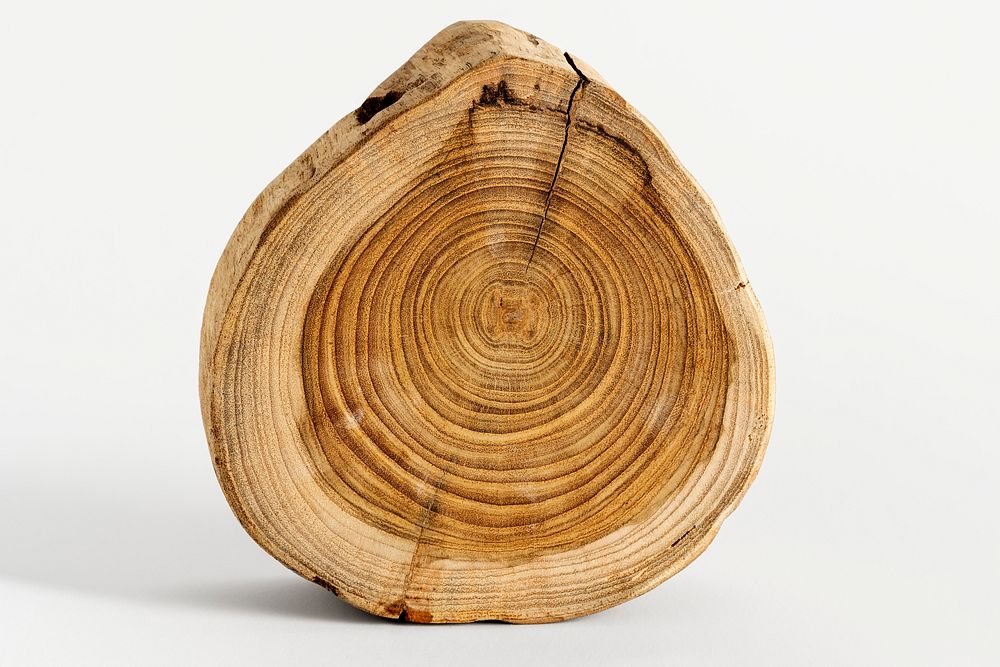 Single chopped wood slice design resource