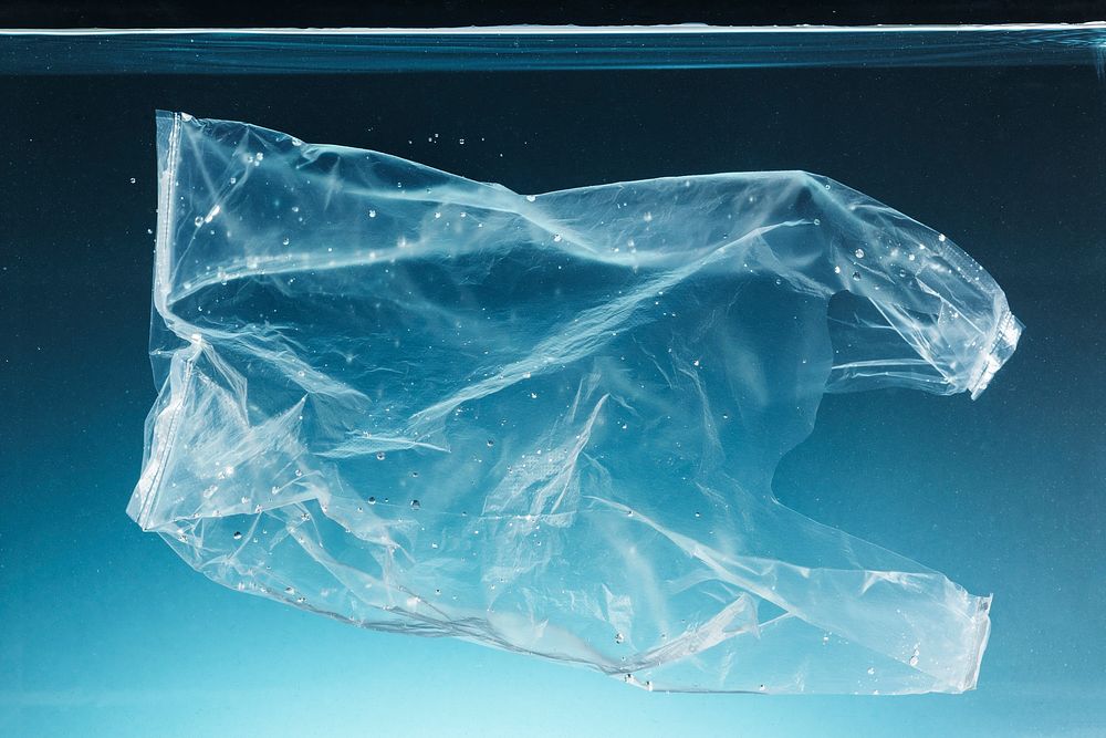 Single use plastic bag polluting the ocean