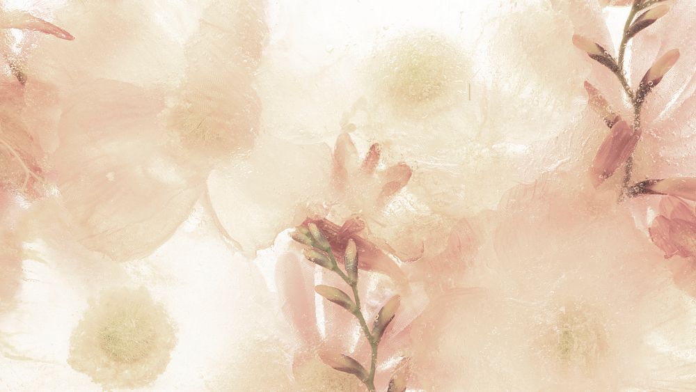 Flower desktop wallpaper with beige anemone, HD aesthetic image/photo 