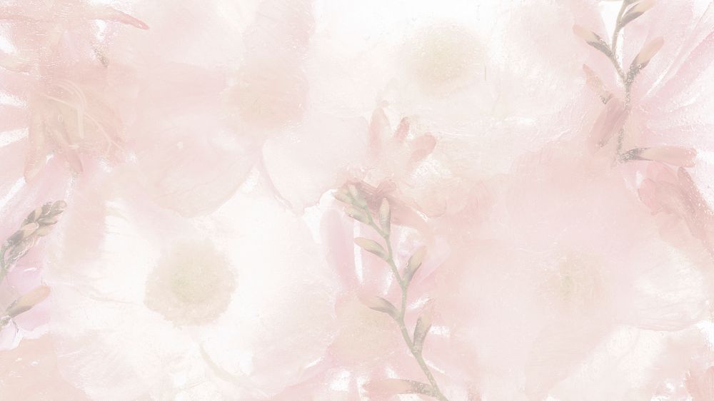 Flower desktop wallpaper background, pink blooming anemone