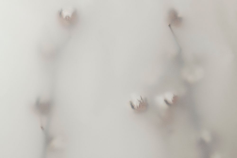Blurred cotton flower branch background