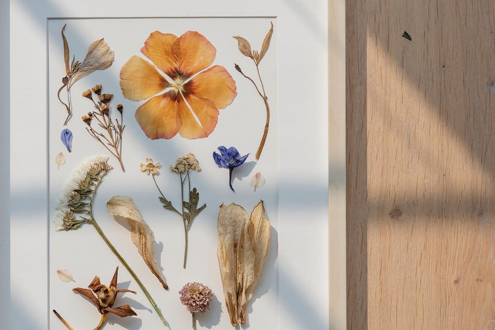 Dried flowers collection in a wooden picture frame