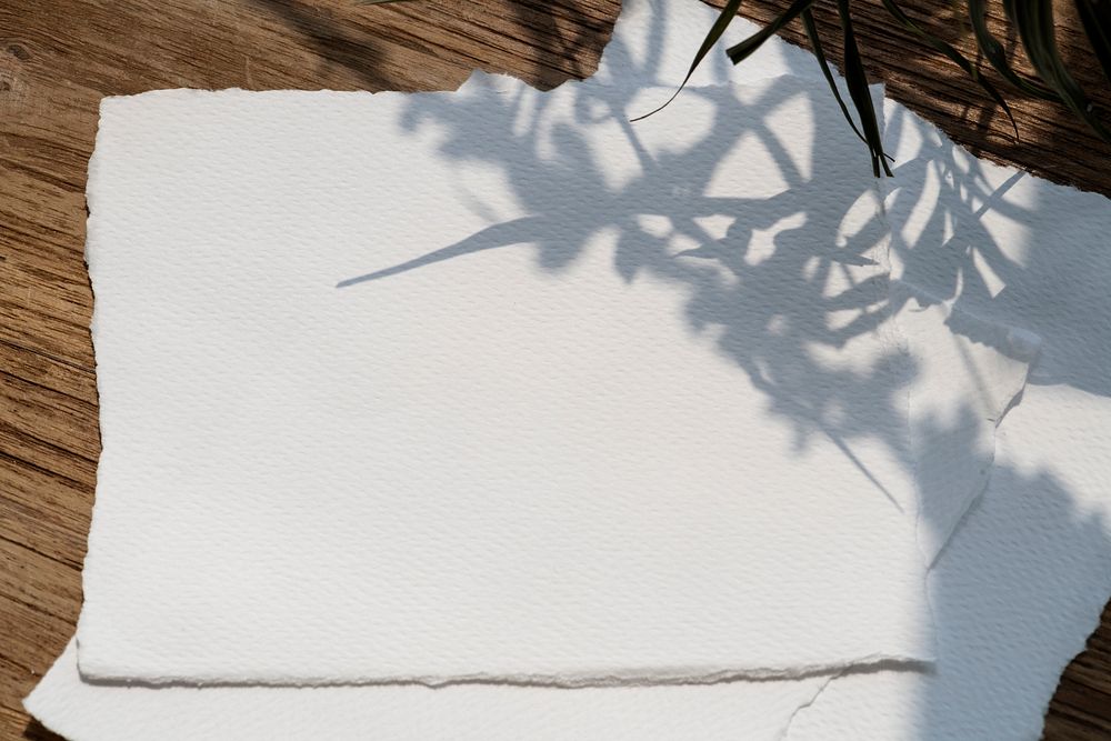 Flower shadow on a blank ripped white paper