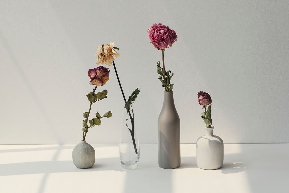 Dried flowers in minimal vases