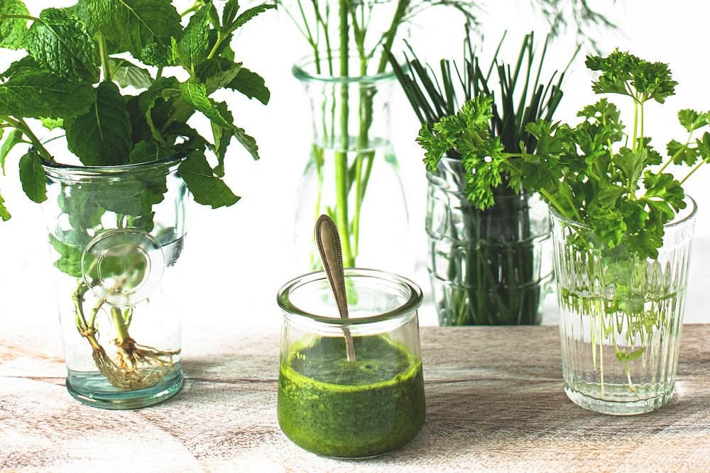 Green fresh organic herbs and homemade pesto ingredients