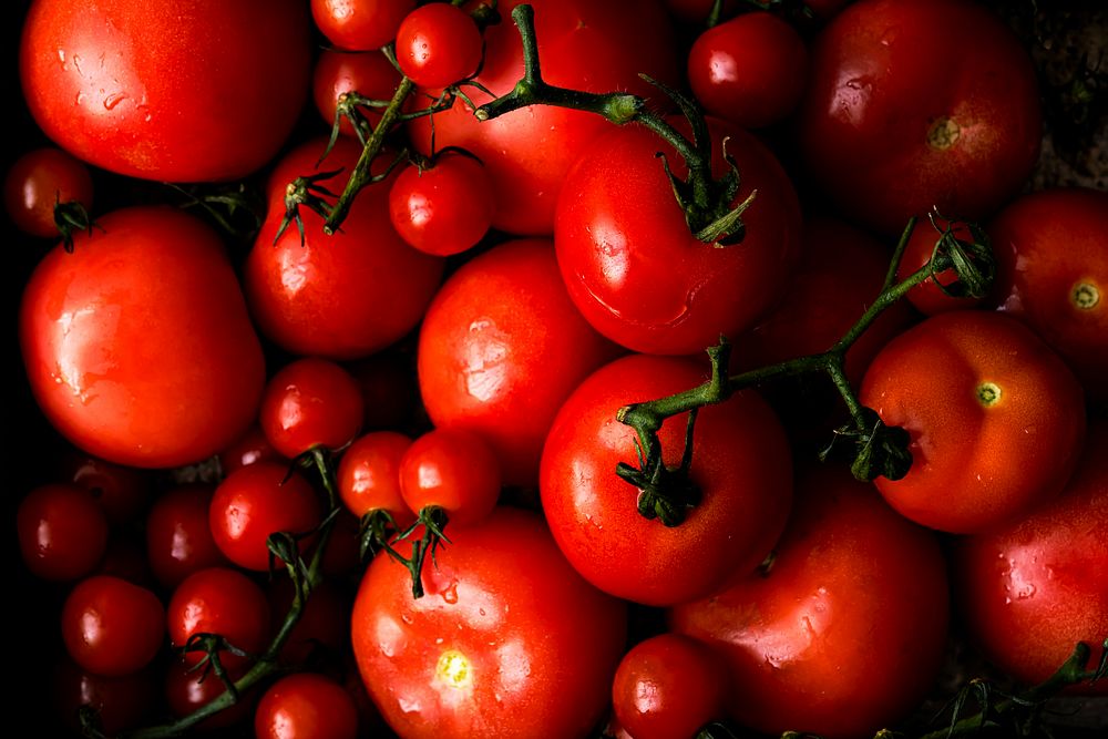 Fresh small red tomatoes background