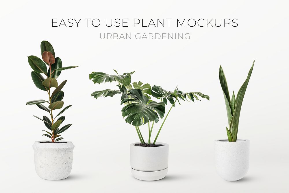 Green houseplant mockup psd banner