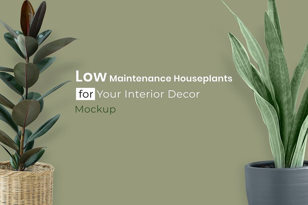 Low maintenance houseplant mockup psd banner