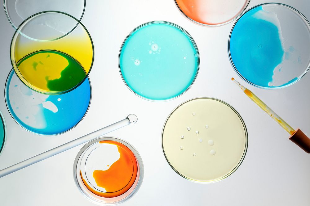 Science background experiment wallpaper, petri dishes flat lay