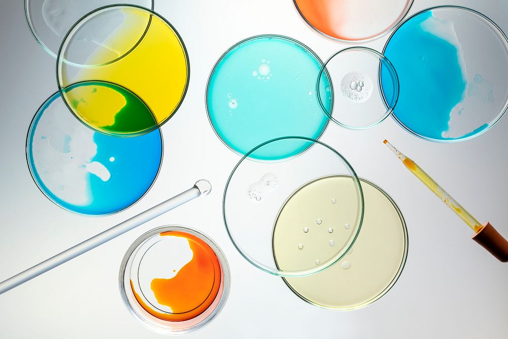 Science background wallpaper, petri dishes flat lay