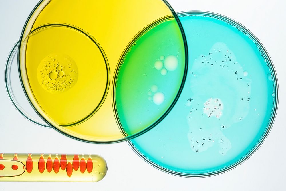 Science background wallpaper, petri dishes flat lay