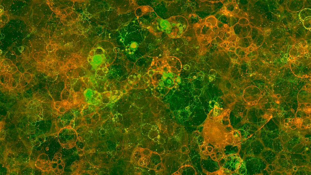 Orange and green bubble art on green background abstract style