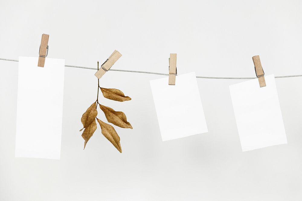 Papers hanging from a rope with paper clips with design space