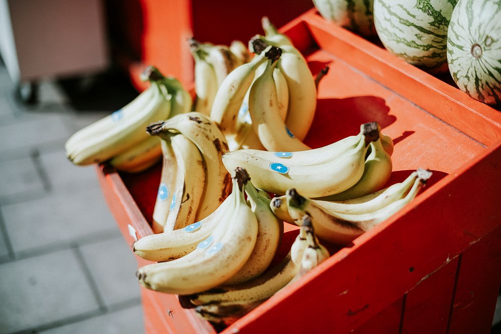 Stall of bundles of bananas for sale