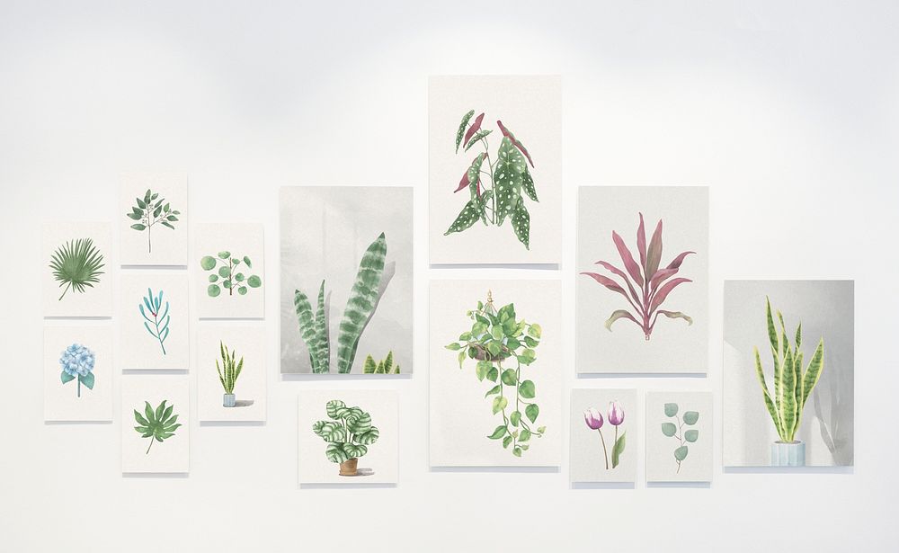 Collection of leaf paintings on a wall
