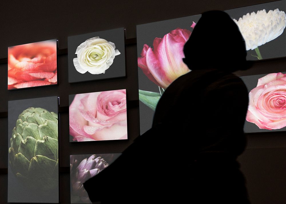 Woman's silhouette viewing photos in a dark gallery