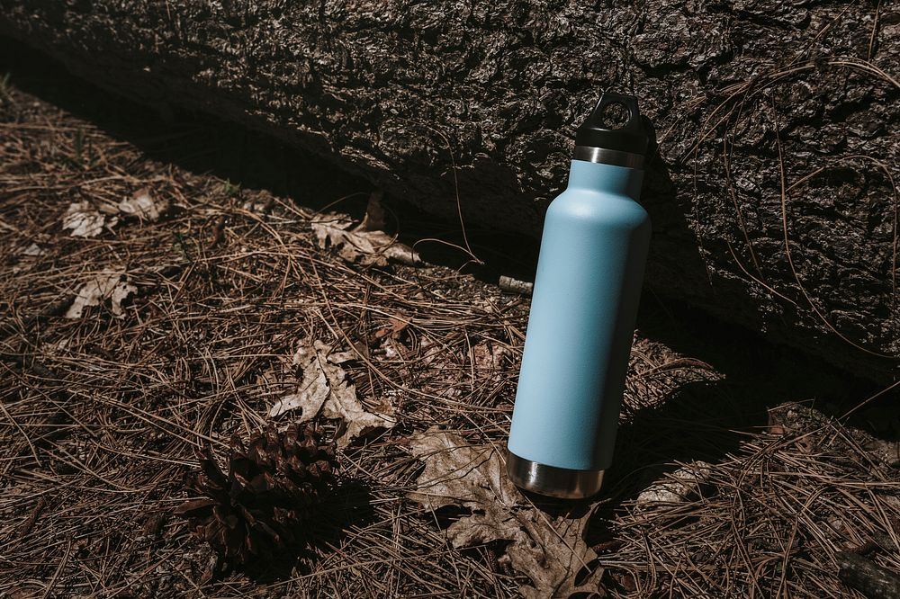Blue water bottle in the forest