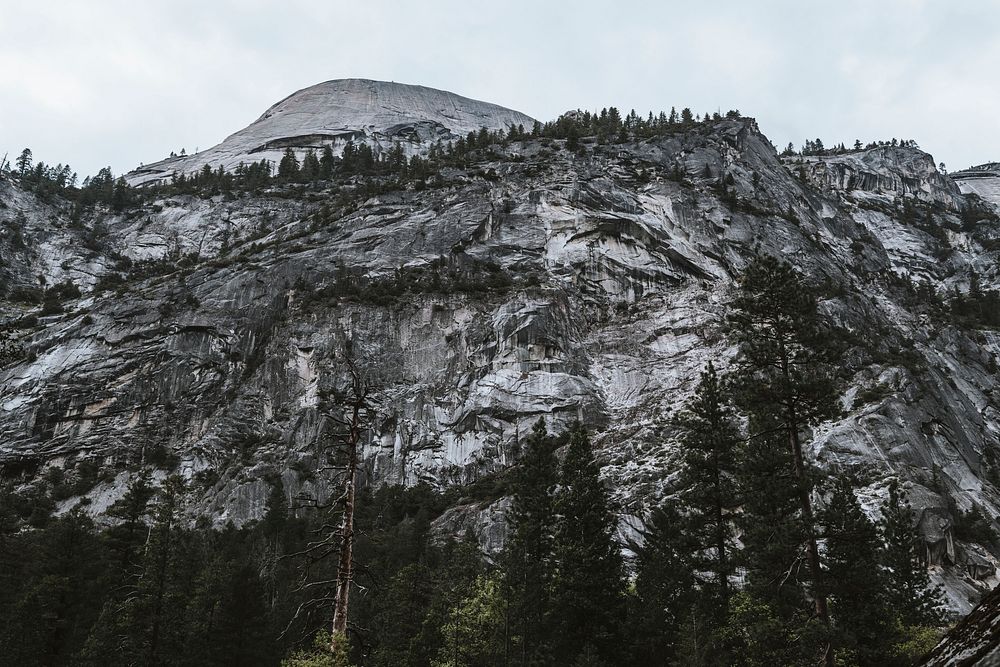 Yosemite National Park, USA