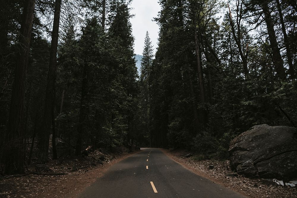 Road in Yosemite National Park at California, USA