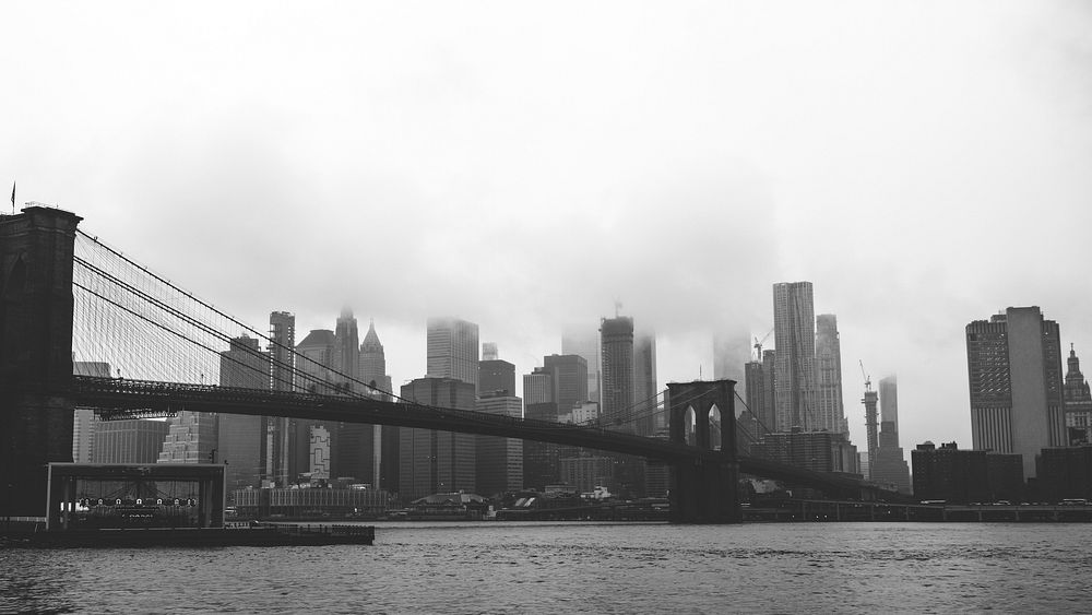Manhattan bridge overlooking New York