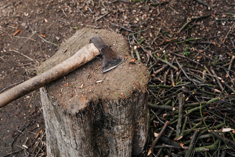 Axe on a tree stump