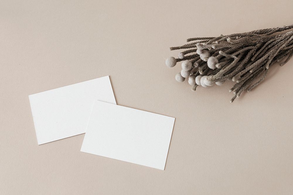 Blank white business cards decorated with dried plants
