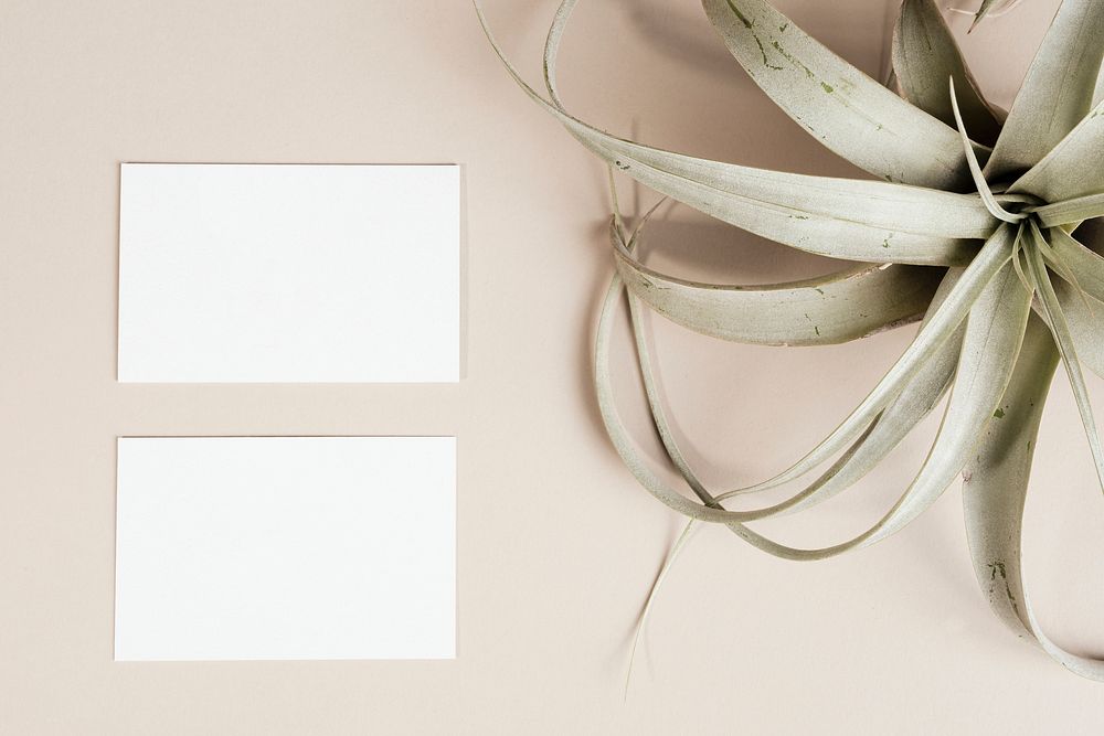 Business cards with dried leaves