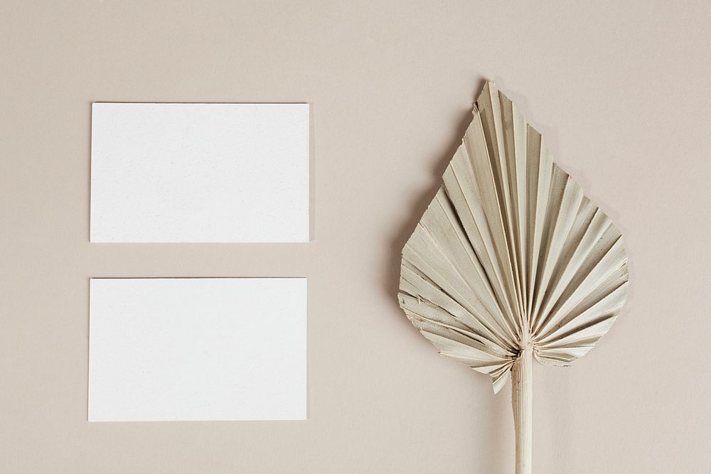 Blank business cards with dried palm leaf