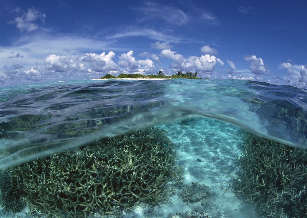 Free untouched tropical beach, free public domain CC0 photo.