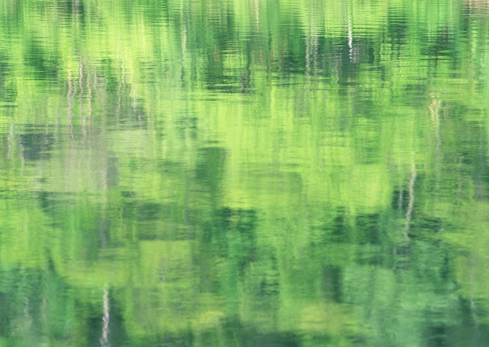 Free abstract green background image, public domain CC0 photo.