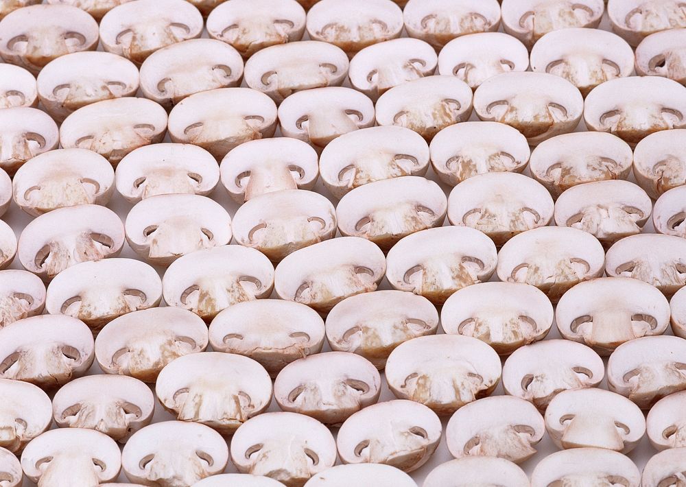Sliced Mushrooms Isolated On White
