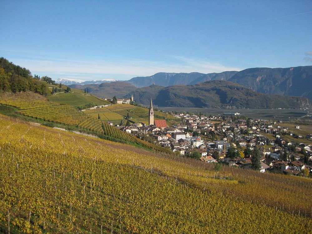 Famous Wine Village Of Tramin At South Tyrolean