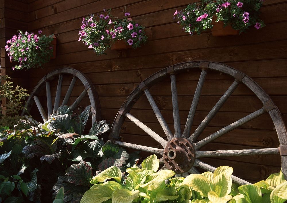 Flowers In Terracotta Pots For Sale In Old Wooden Wheel