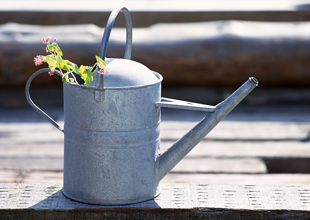 Free watering can image, public domain spring CC0 photo.