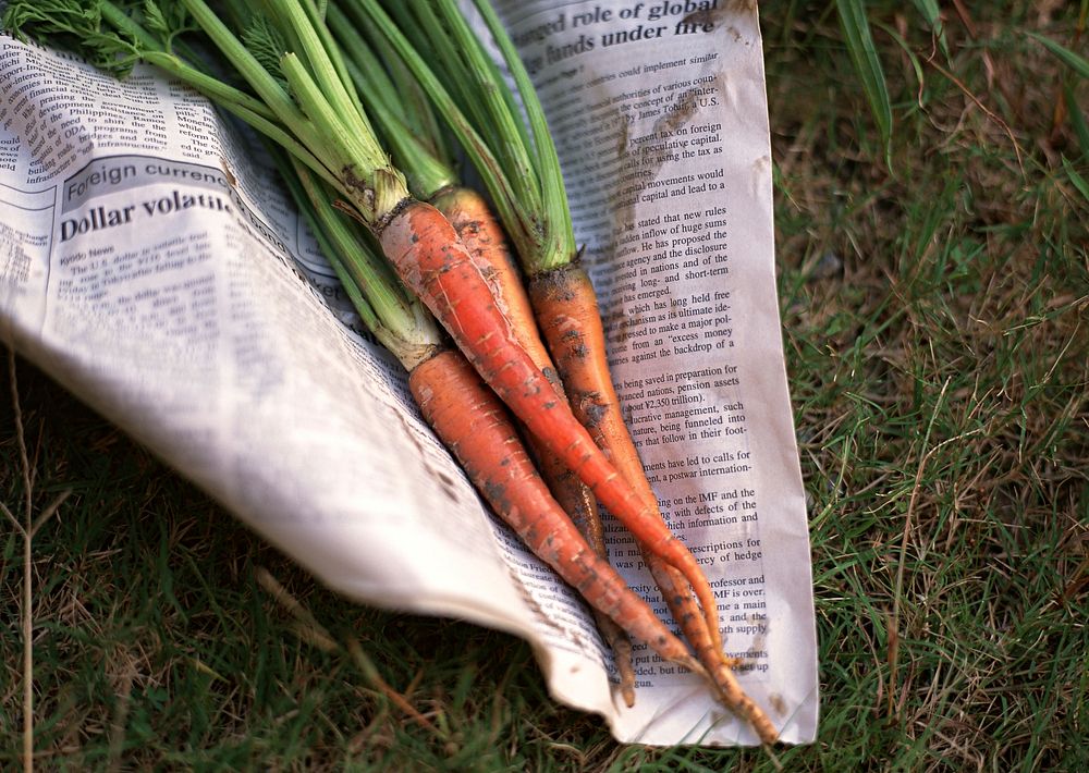 Free carrot image, public domain vegetable CC0 photo.