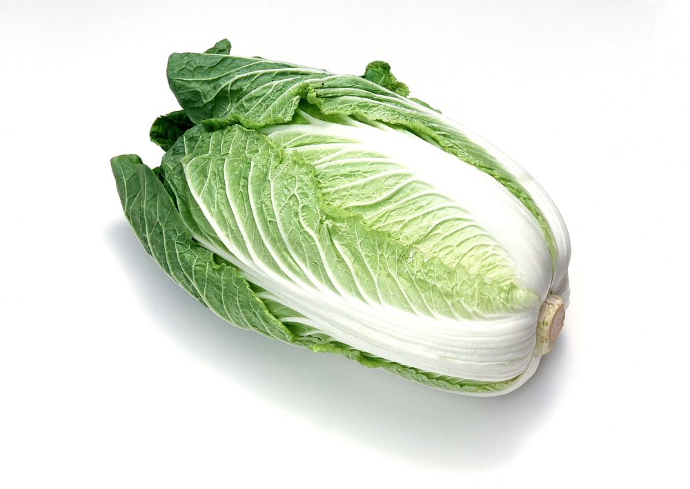 Free Chinese cabbage image, public domain food CC0 photo.