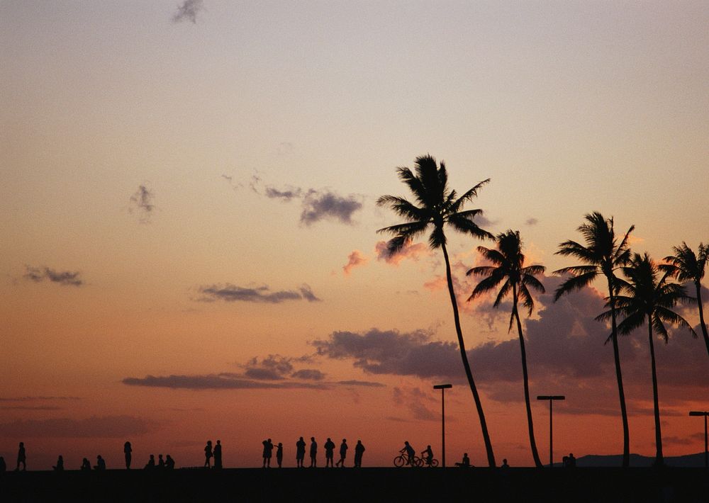 Group Of People On Sunset Beach