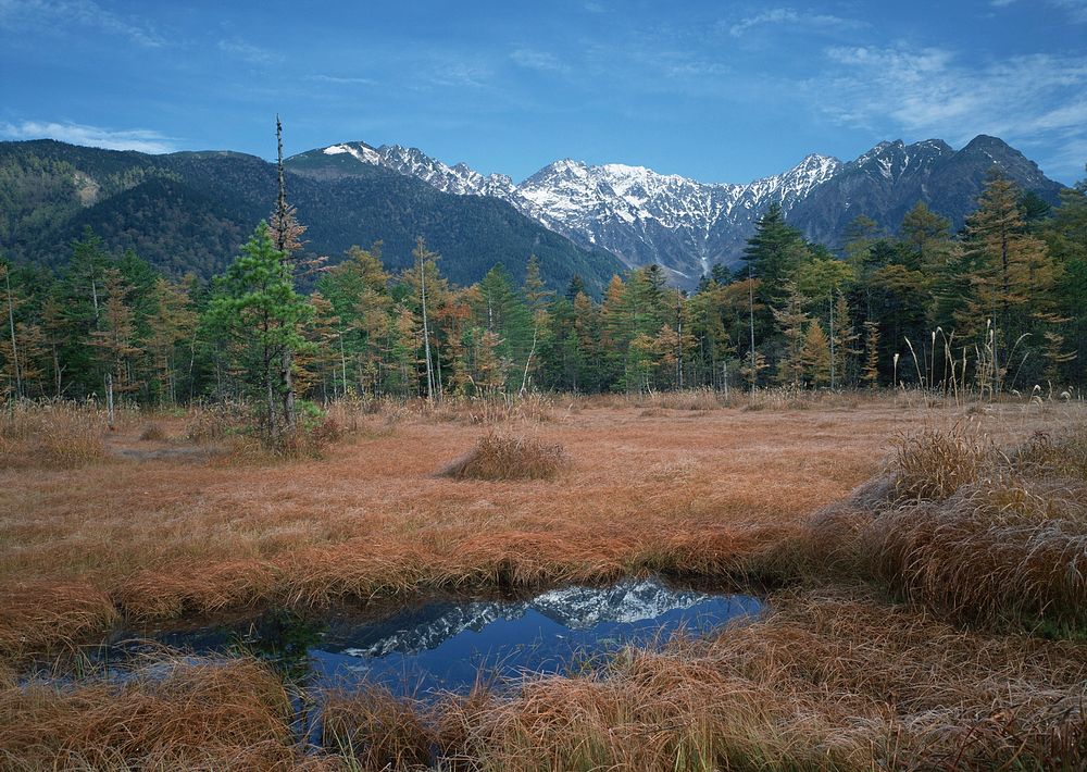 Landscape With Mountains Trees And A River