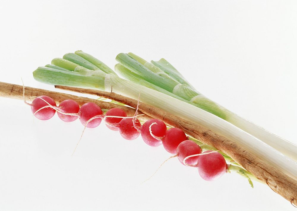 Bunch Of Fresh Green Onion And Radishes