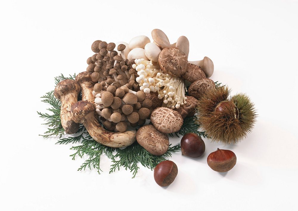 Free autumnal still life composition with honey mushrooms image, public domain CC0 photo.