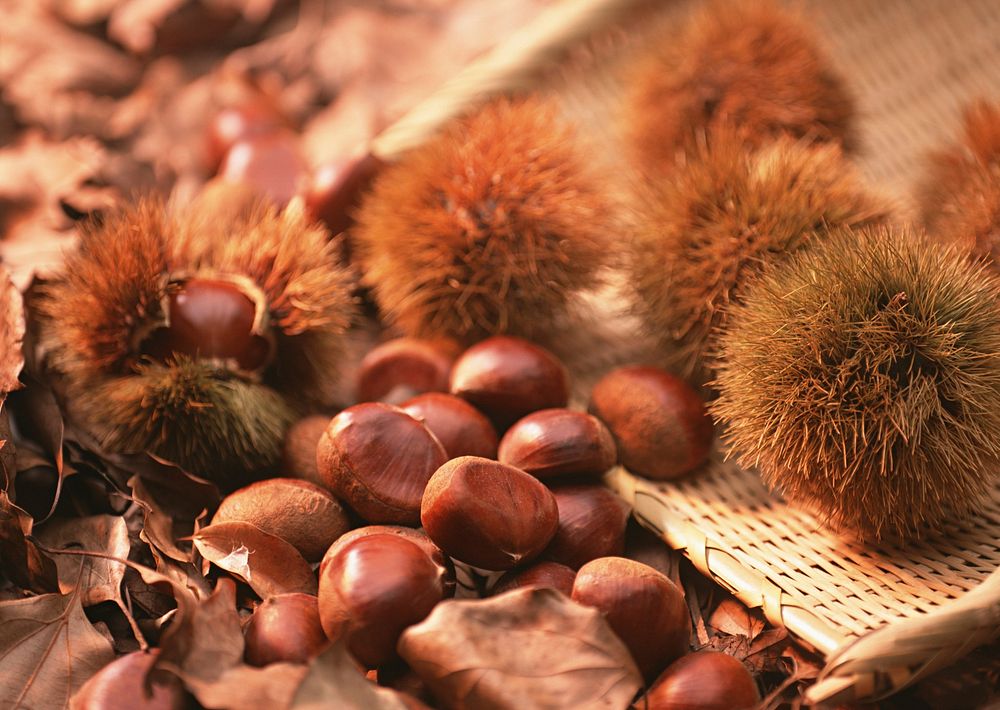 Free chestnuts close up, natural background image, public domain vegetables CC0 photo.