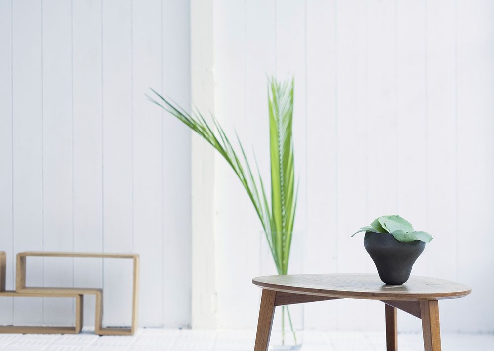 Detail Of A Bright Modern Living Room With Plant