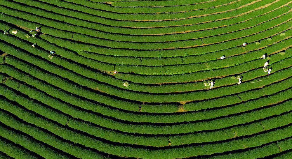 Free agricultural landscape image, public domain agriculture CC0 photo.