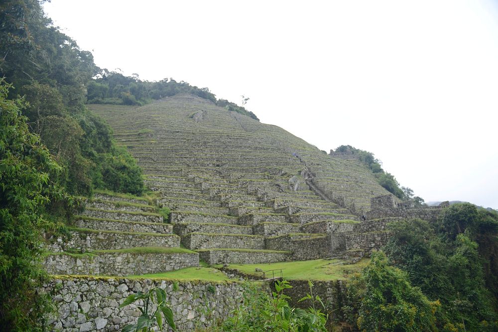 Ancient Ruins Of Winay Wayna On The Inca Trail, Peru