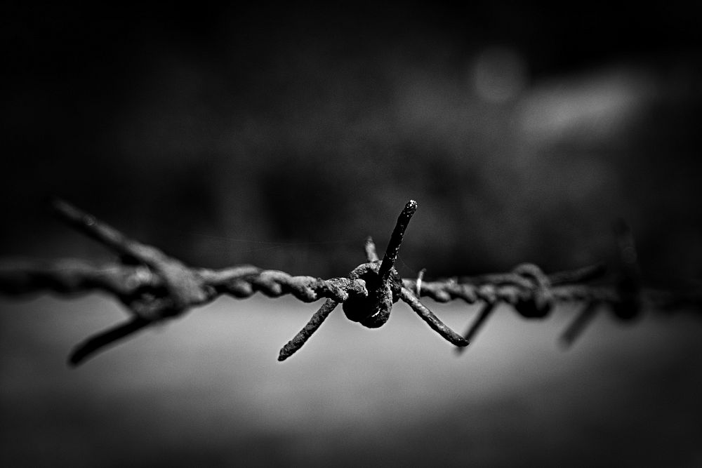 Barbed Wire Seamless, free public domain CC0 photo.