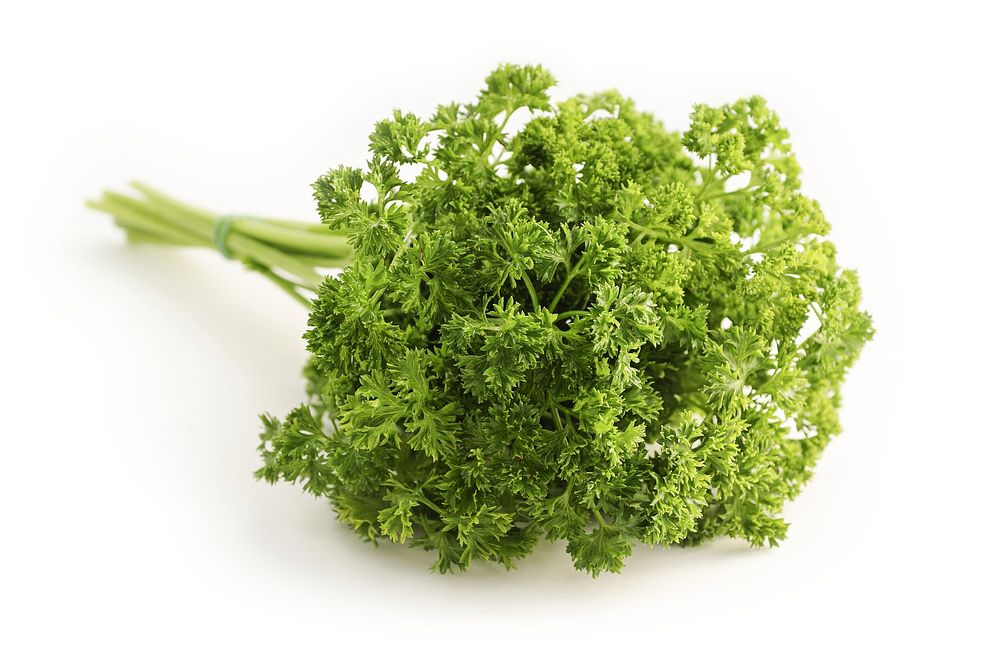 Free parsley bundle on white background photo, public domain vegetables CC0 image.