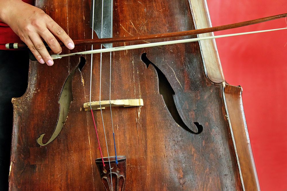 Free playing the cello image, public domain musical instrument CC0 photo.