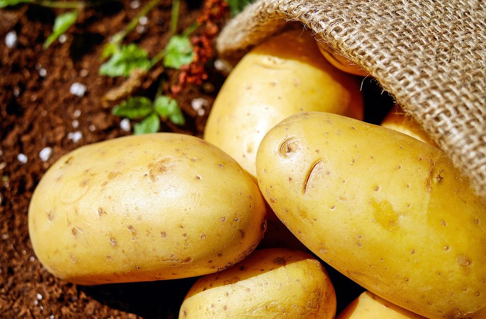 Free close up potato in bag image, public domain vegetable CC0 photo.