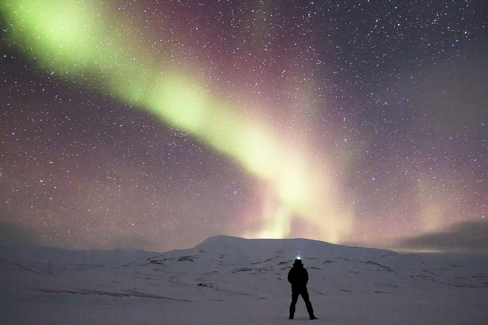 Free Northern Lights during winter photo, public domain nature CC0 image.